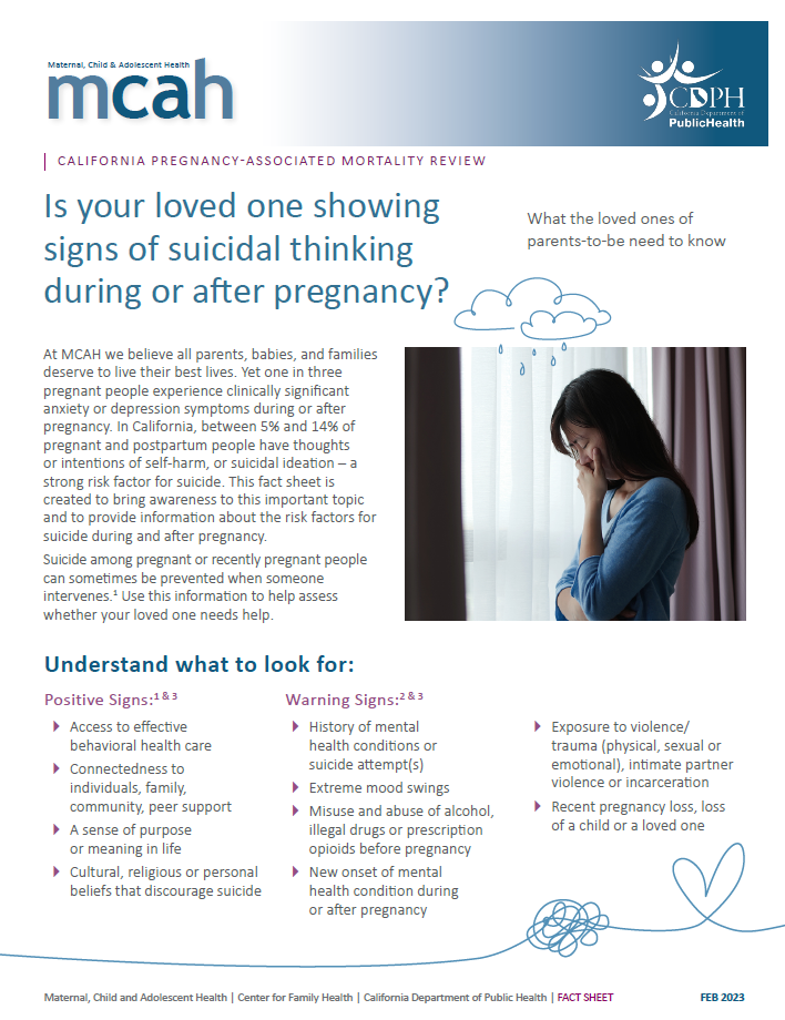 Preview of Maternal Suicide Prevention Fact Sheet 
