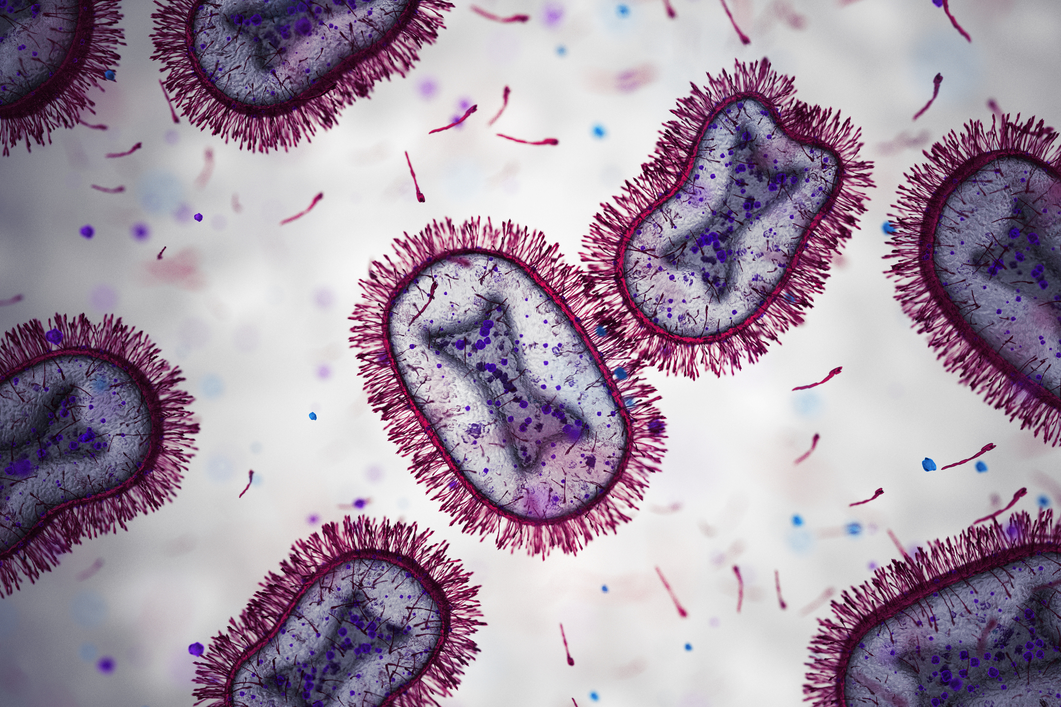 microscopic image of monkeypox viruses