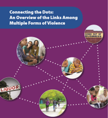 Connecting the Dots: An Overview of the Links Among Multiple Forms of Violence