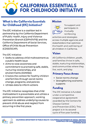 Essentials for Childhood Initiative One-Pager