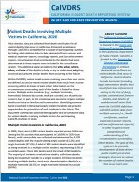 Violent Deaths Involving Multiple Victims in California (PDF)
