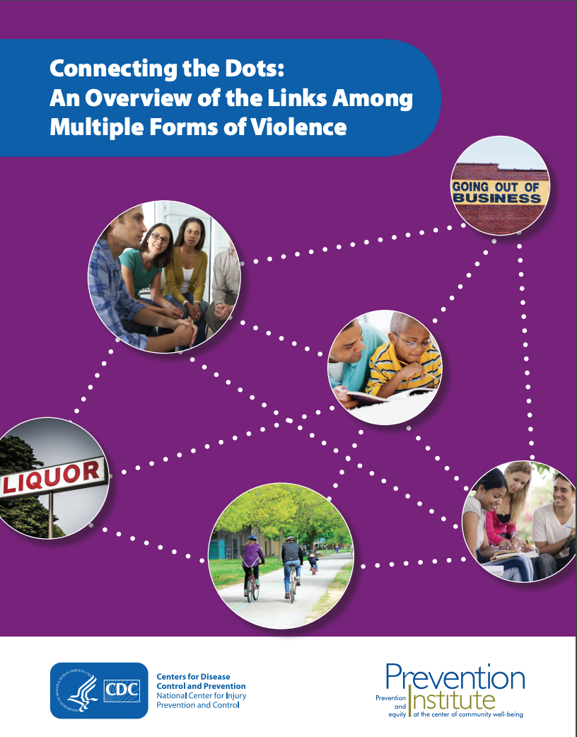 Connecting the Dots: An Overview of the Links Among Multiple Forms of Violence 2014 