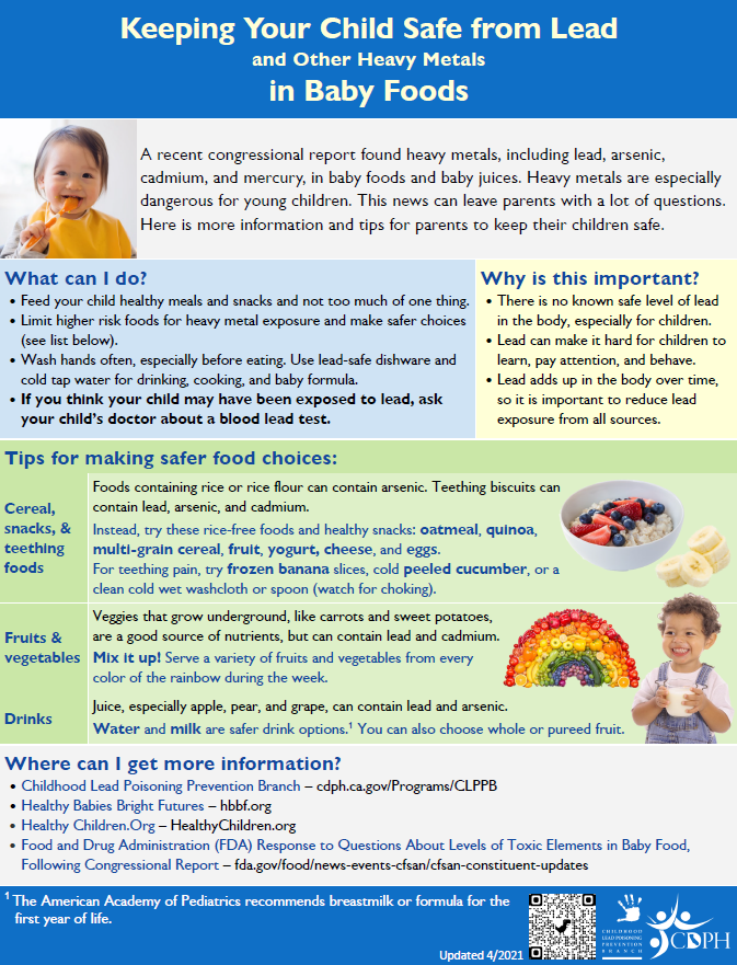 Baby Food Safety Flyer