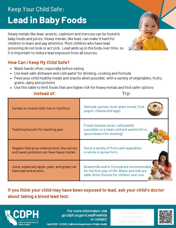 Screen shot of baby food safety flyer