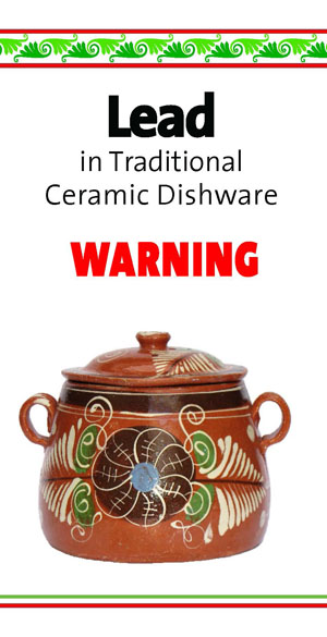 Screen shot of Lead in Traditional Ceramic Dishware brochure