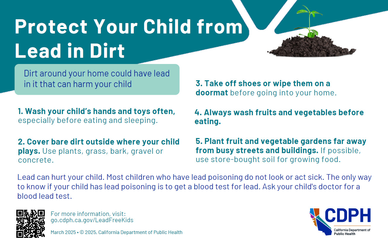 Screen shot of Protect Your Child from Lead in Dirt Card
