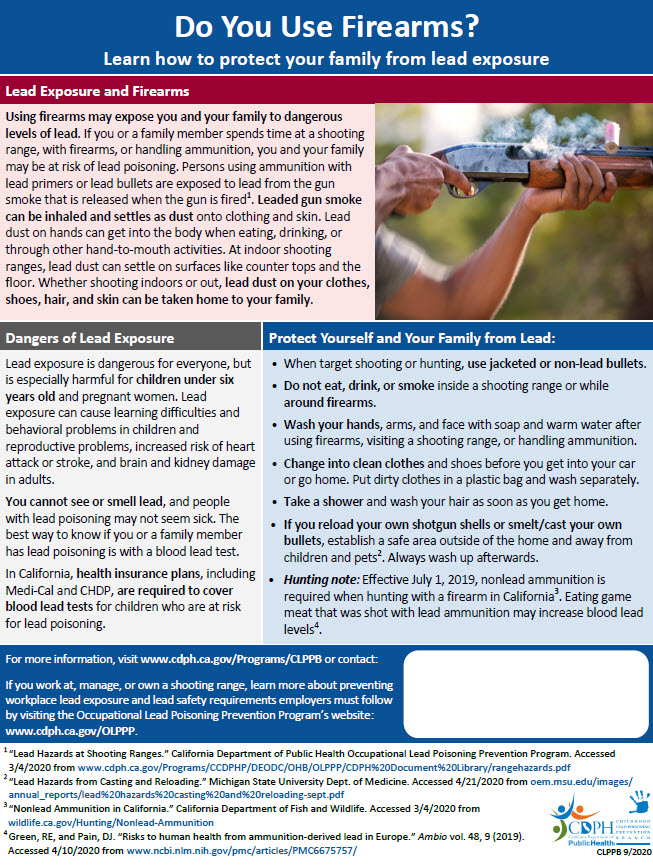 Screen shot of Firearms Safety Flyer