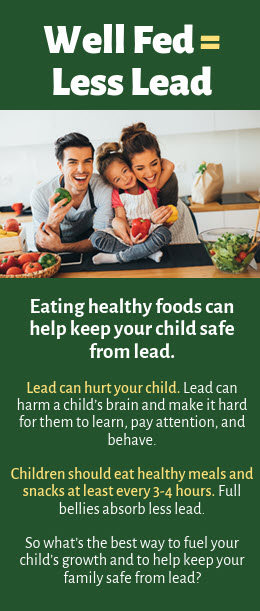 Screen shot of Well Fedd = Less Lead brochure