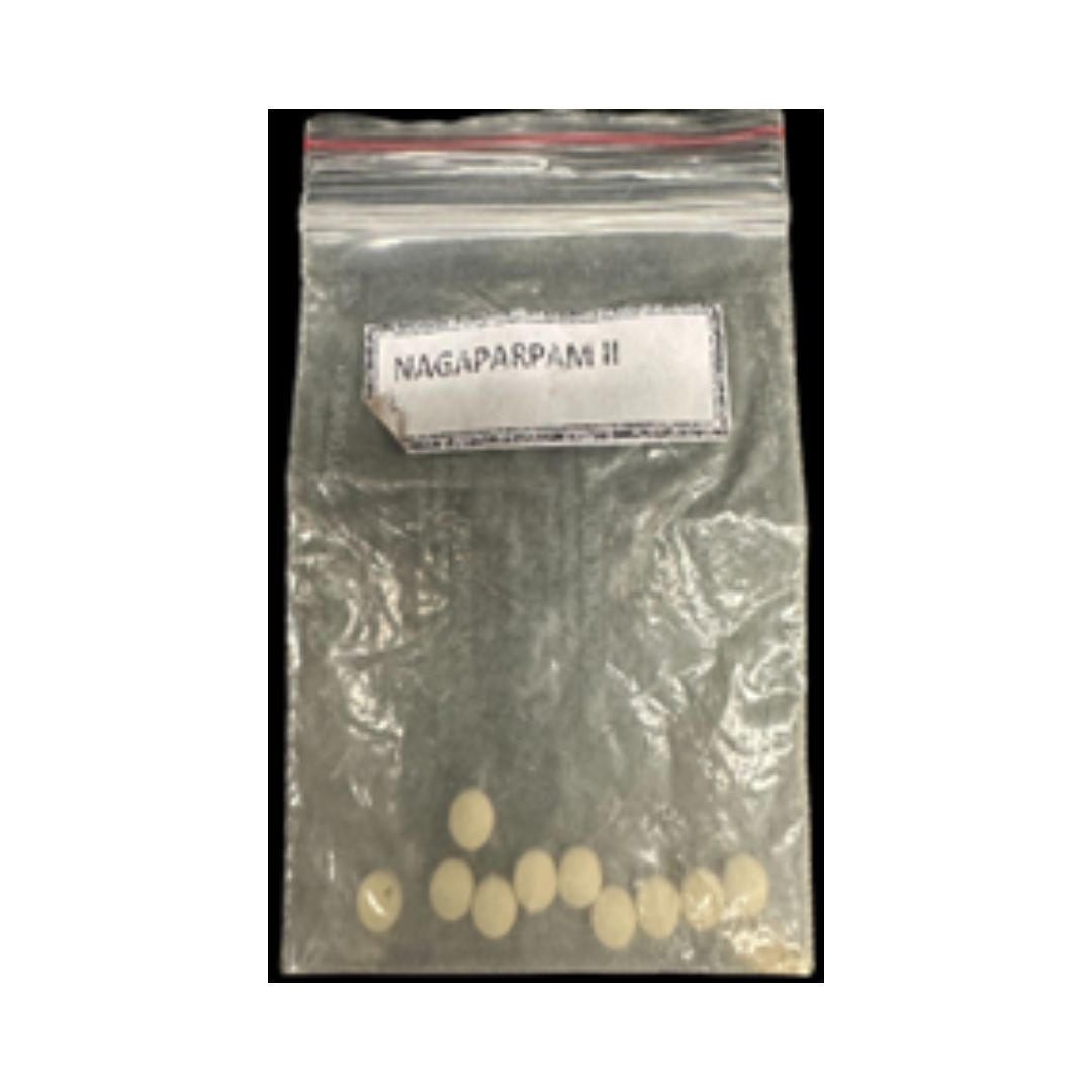 Nagaparpam II Nagaparpam II