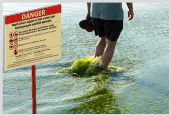 person walking on a lakeshore contaminated with HABs with - a danger sign is next to him