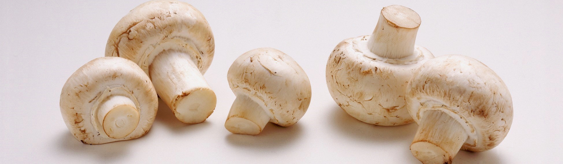 Safe to eat white button mushrooms from a grocery store