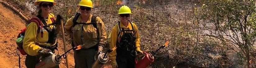 Three prescribed fire rractitioners holding torches