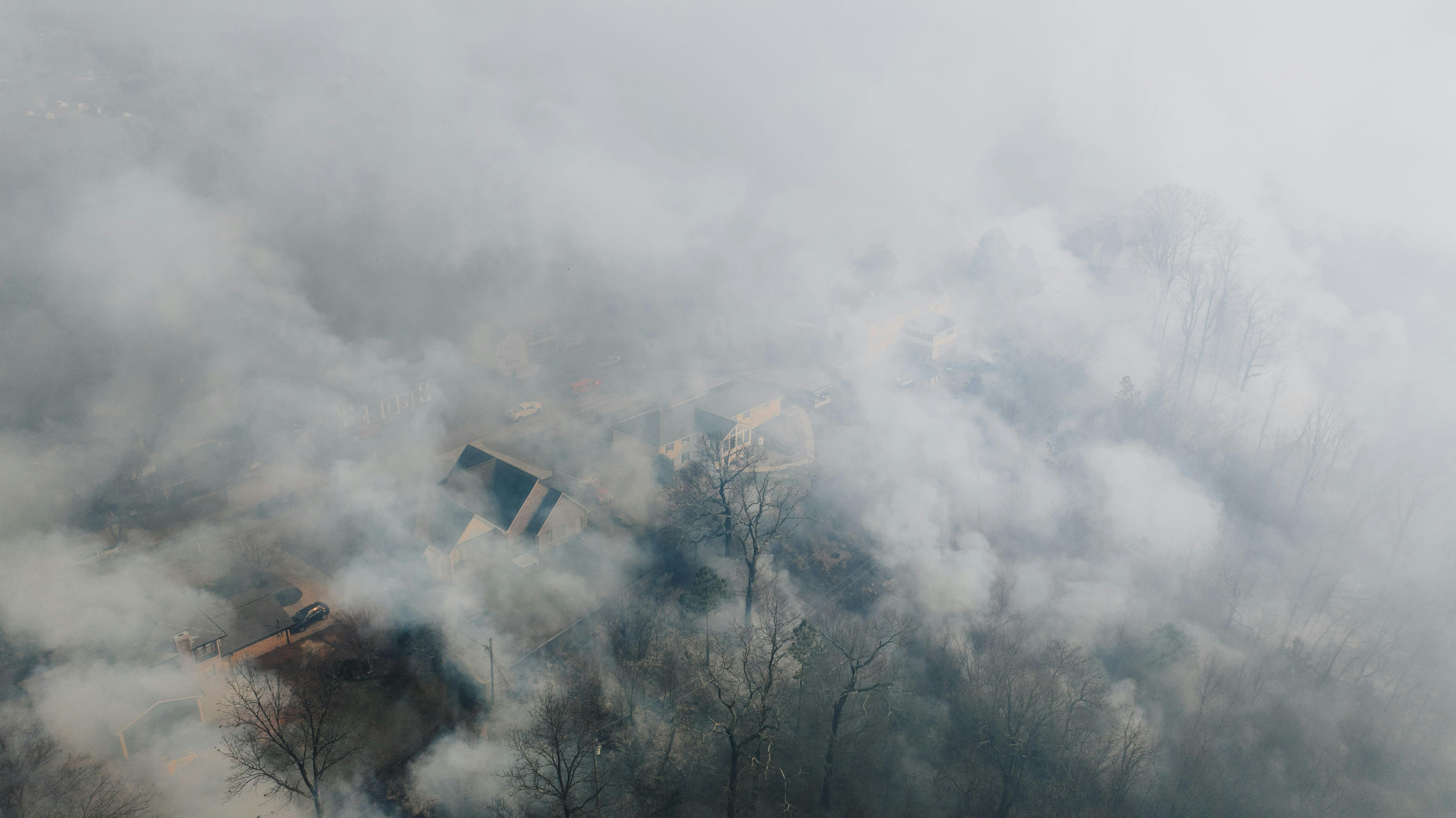 smoke covering trees