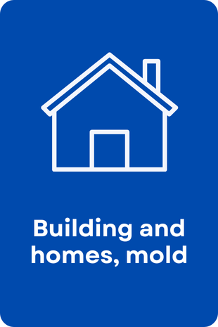 Building and Homes, Mold