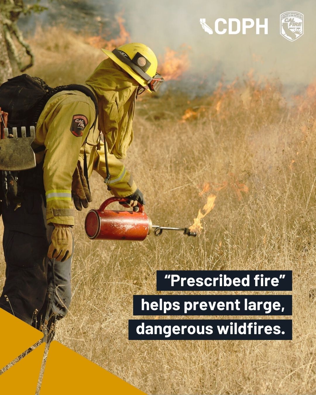Person with fire torch lighting grassland. Copy: "Prescribed Fire" helps prevent large, dangerous wildfires.