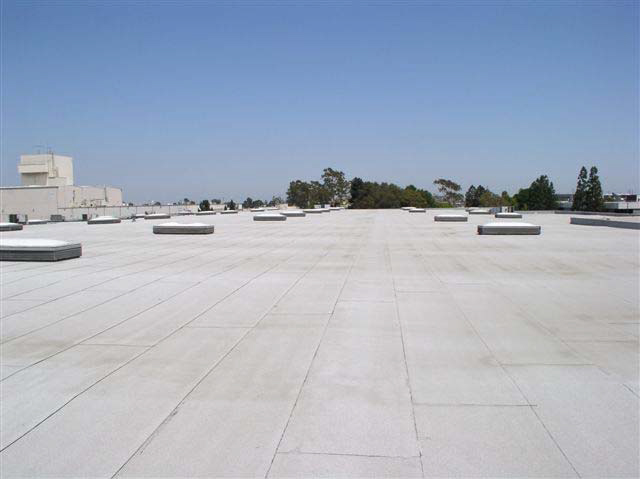 The white rooftop of a large building extends into the horizon. There are several skylights on the roof and trees in the distance.