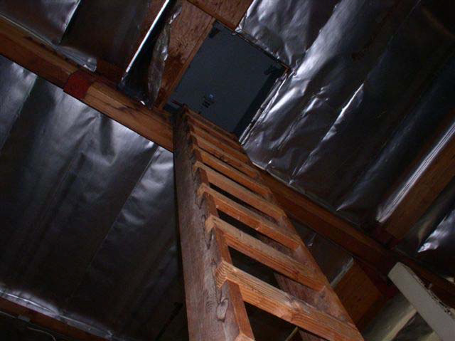 A narrow wooden ladder ascends at a vertical angle to a small square opening in an unfinished ceiling.