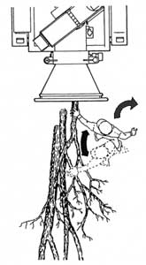 A top-down illustration of tree branches being fed into a wood chipper with arrows to show how the worker should turn to avoid the opening while feeding branches.