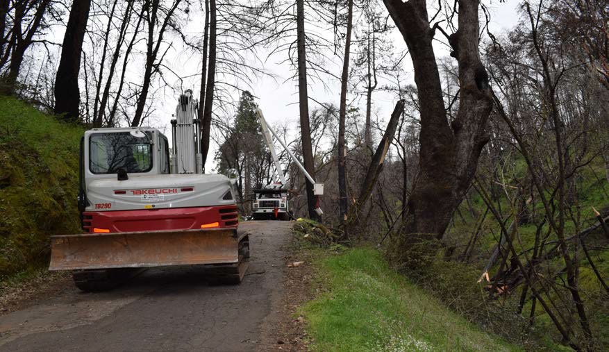 Road where incident occurred showing a small earth-moving vehicle in front of a bucket truck with the arm extended and the damaged bucket and damaged tree behind it.