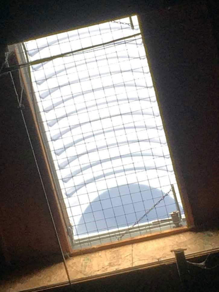 A skylight with a metal grid underneath of it is seen from inside of a warehouse.