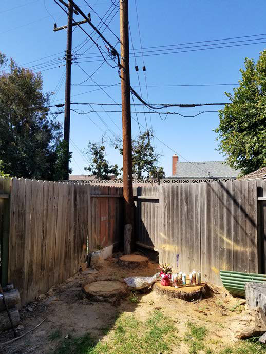 Two fences meet at a power line pole in the corner of a yard. On the ground are three palm tree stumps and the one on the right is covered with candles and flowers. In the background are several power lines connecting the pole in the yard to another pole in the yard behind it.