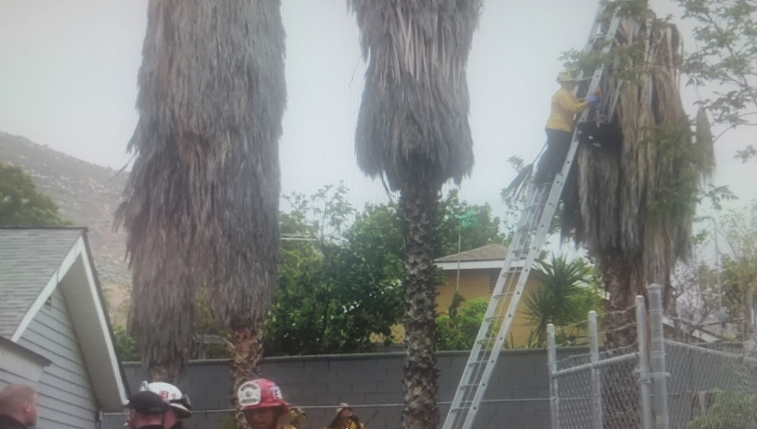  Incident scene and fire department rescue/recovery attempt. 