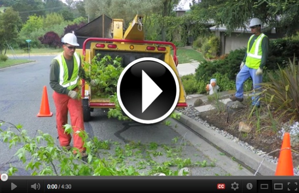 Preventing Woodchipper Deaths Video