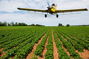 A cropduster plane sprays pesticides over rows of produce in a field.