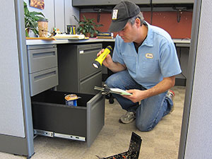 An exterminator uses a flashlight to examine an office file cabinet for signs of bugs