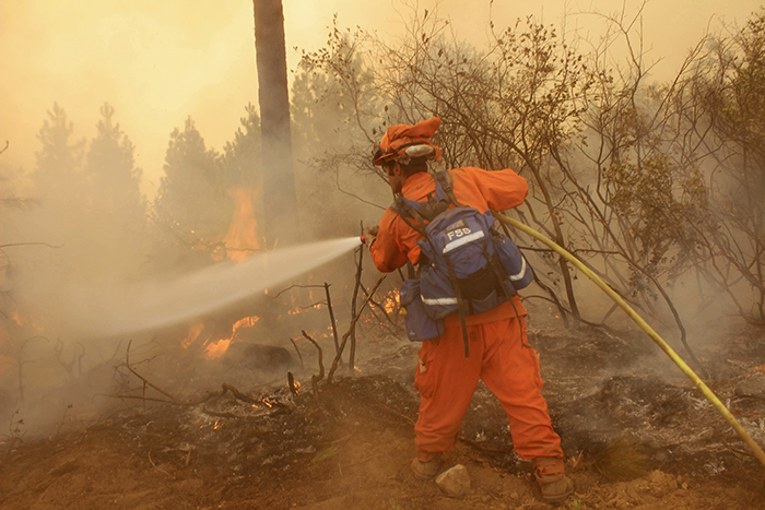 firefighter in full gear and backpack uses a hose to spray water in a wildfire