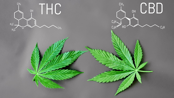 THC and CBD