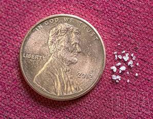 A fatal amount of fentanyl next to a penny