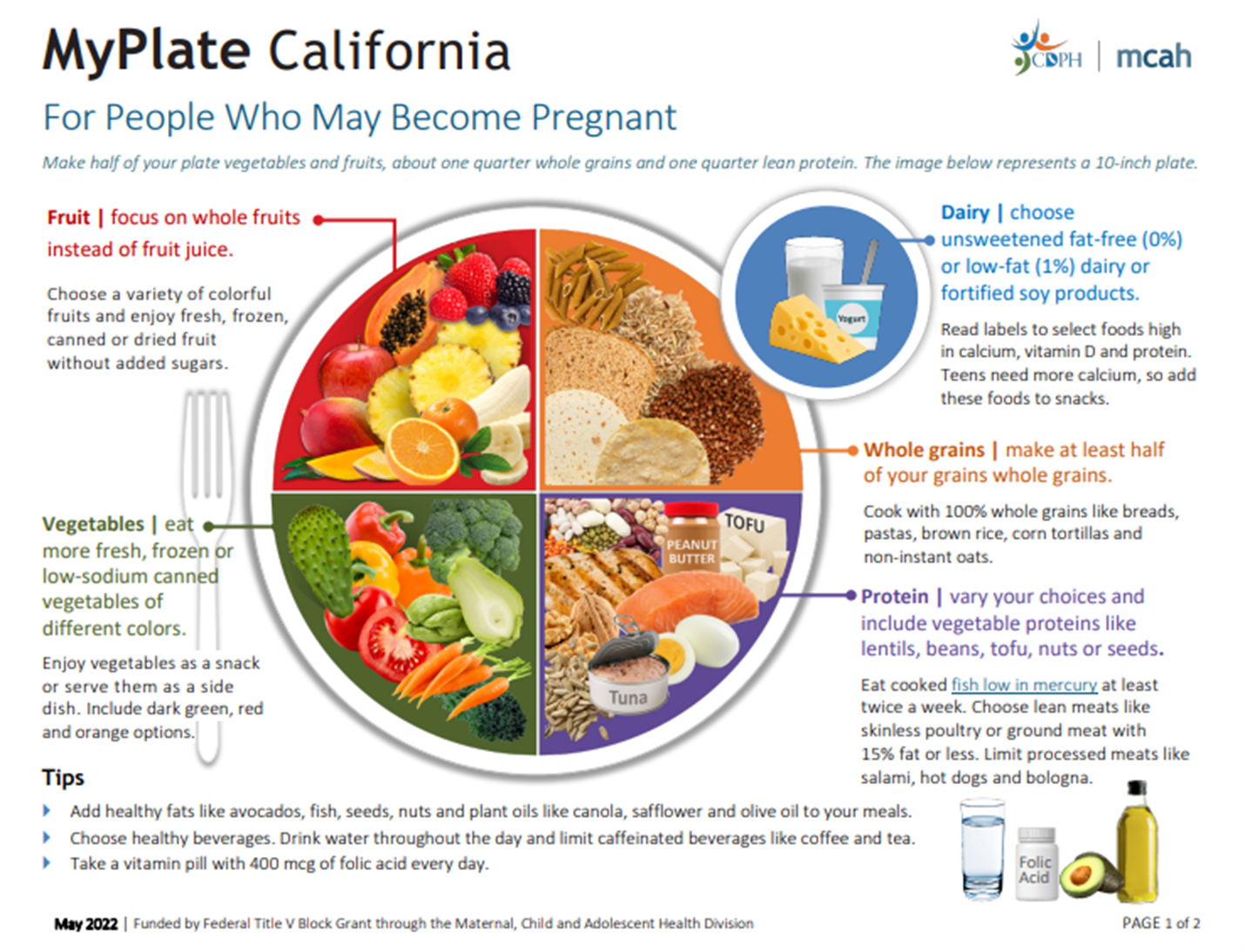 Preview of MyPlate California handout for people who may become pregnant