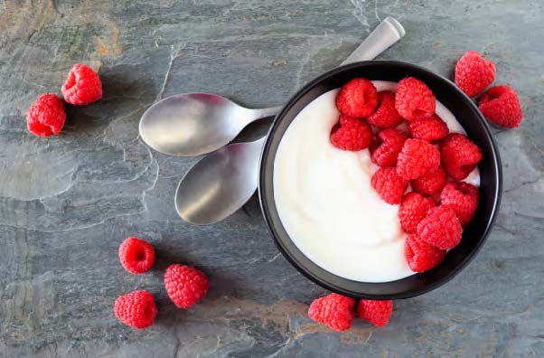 plain greek yogurt with serving of fresh fruit