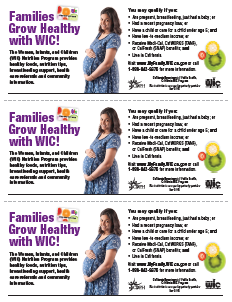 Families Grow Healthy 3-up flyer 11