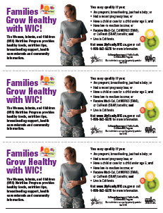 Families Grow Healthy 3-up flyer 12