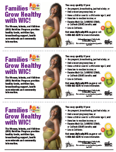 Families Grow Healthy 3-up flyer 6