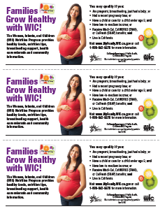 Families Grow Healthy 3-up flyer 8