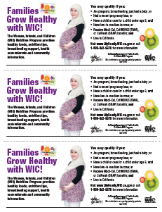 Families Grow Healthy 3-up flyer 6