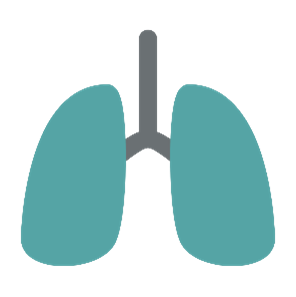 Skip to main content