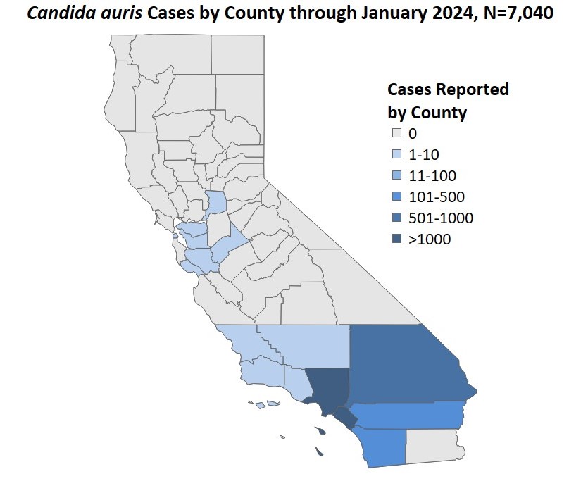 Map of CA counties: C. auris case counts Sept2022-Jan2024, n=7040. LA & Orange counties account for over 5000.