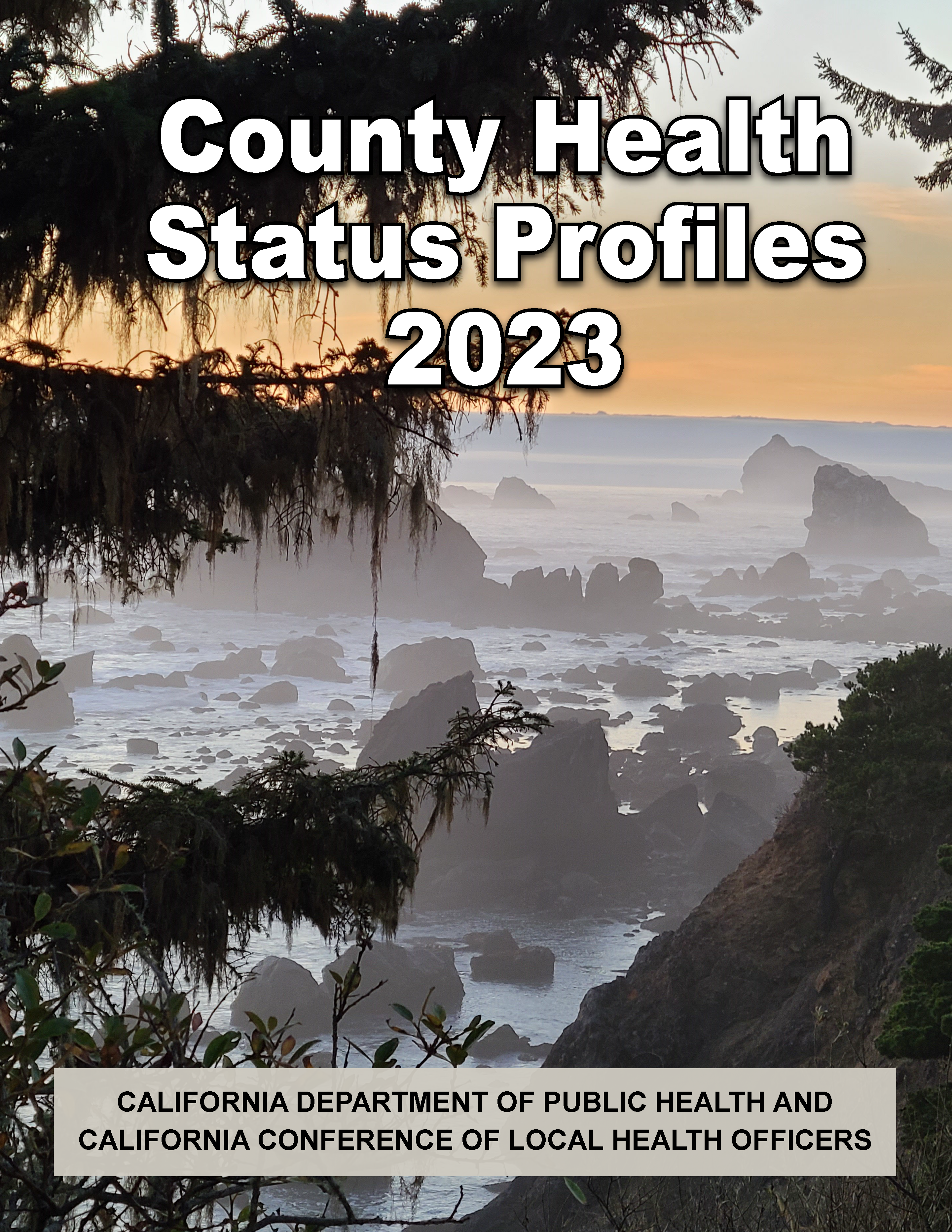 County Health Status Profiles 2023 cover
