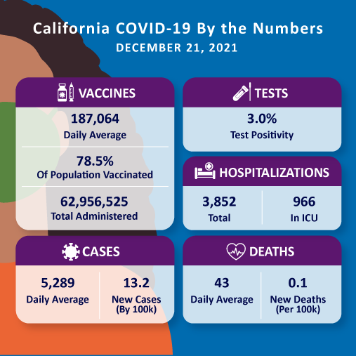 COVID-19 By The Numbers