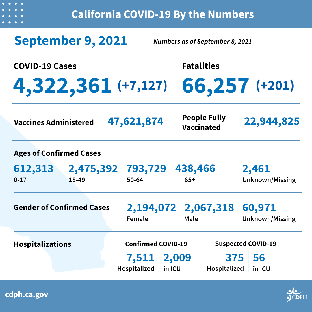 Daily COVID-19 Numbers 9/9