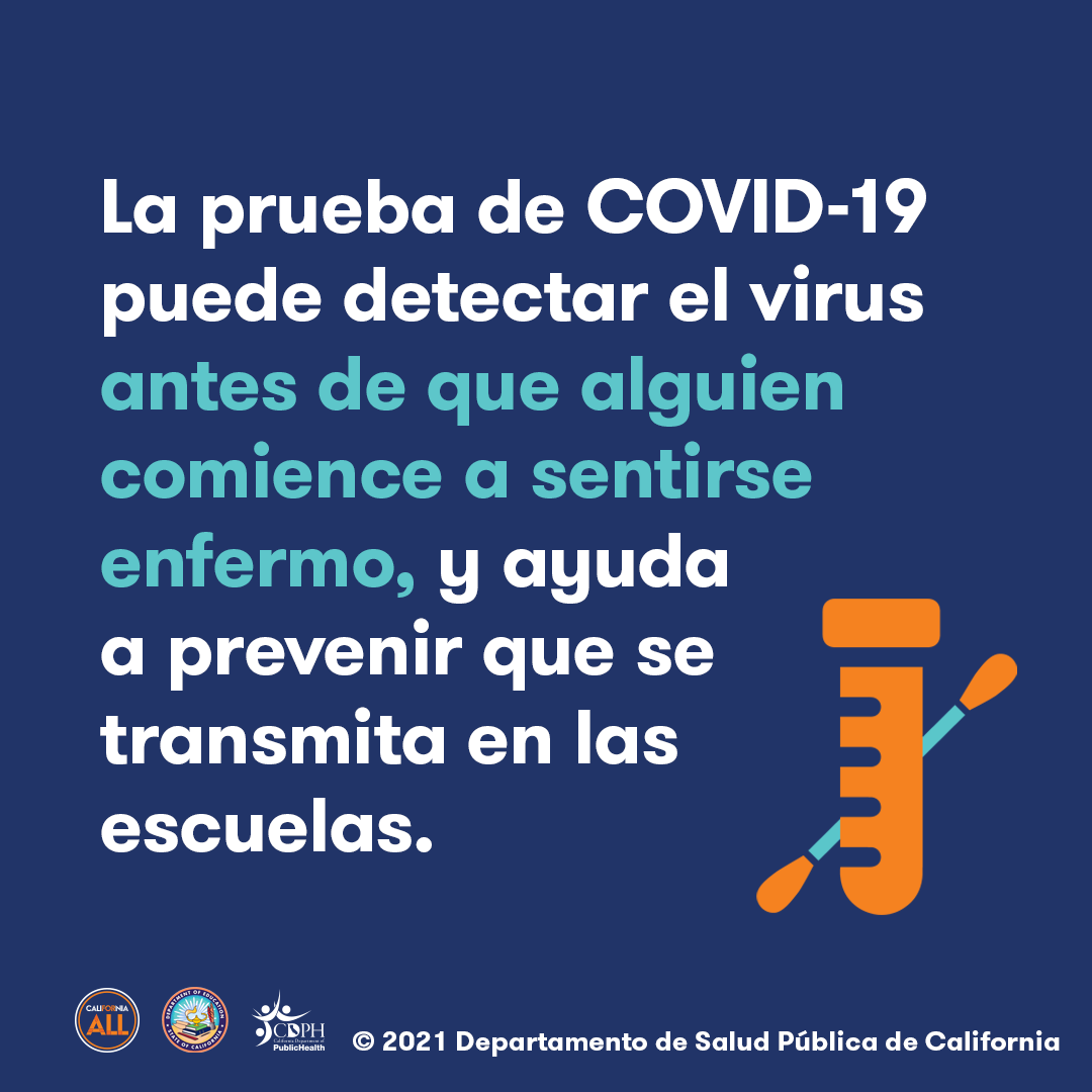 La prueba de COVID-19 puede detectar el virus, y ayuda reducir transmisión en las escuelas 