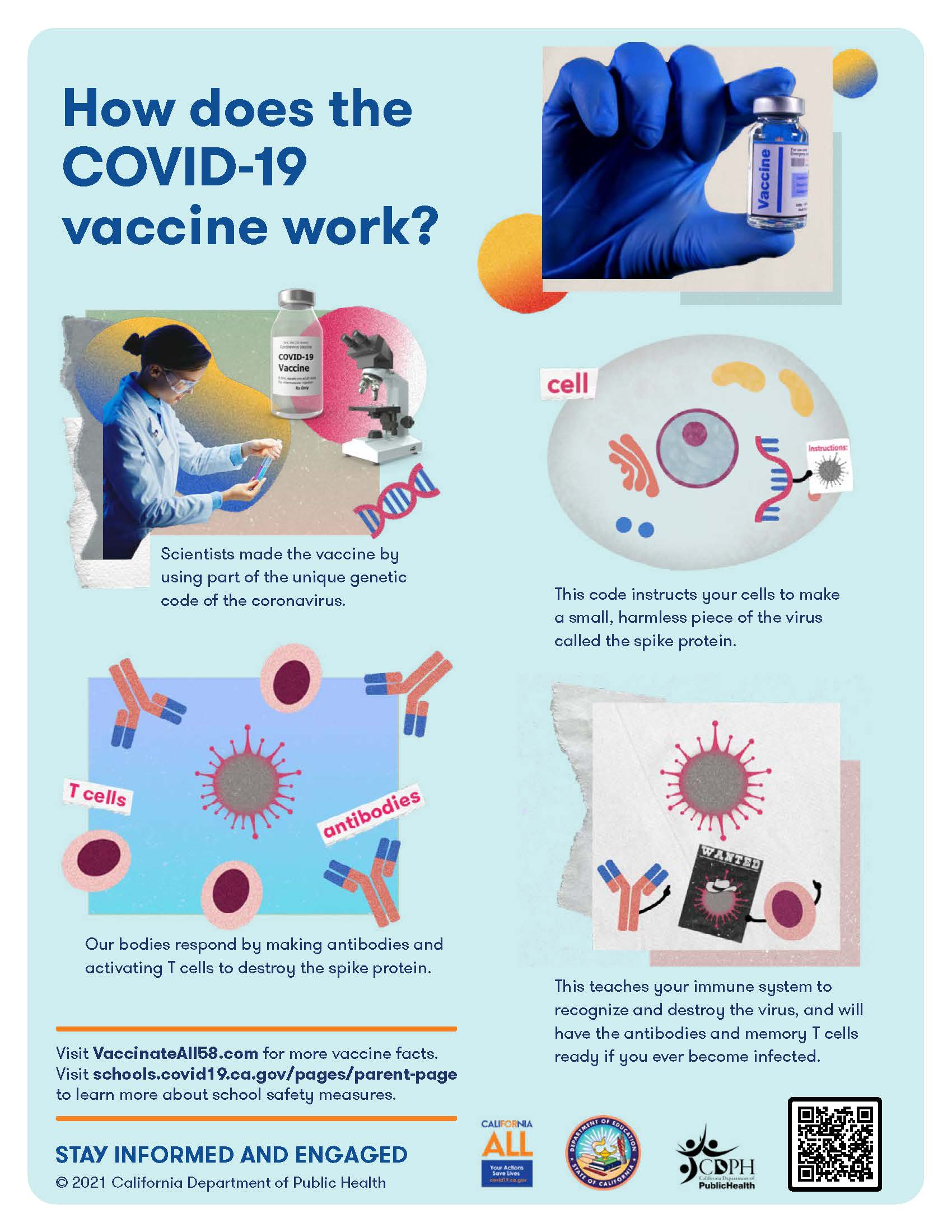 How does the COVID-19 vaccine work