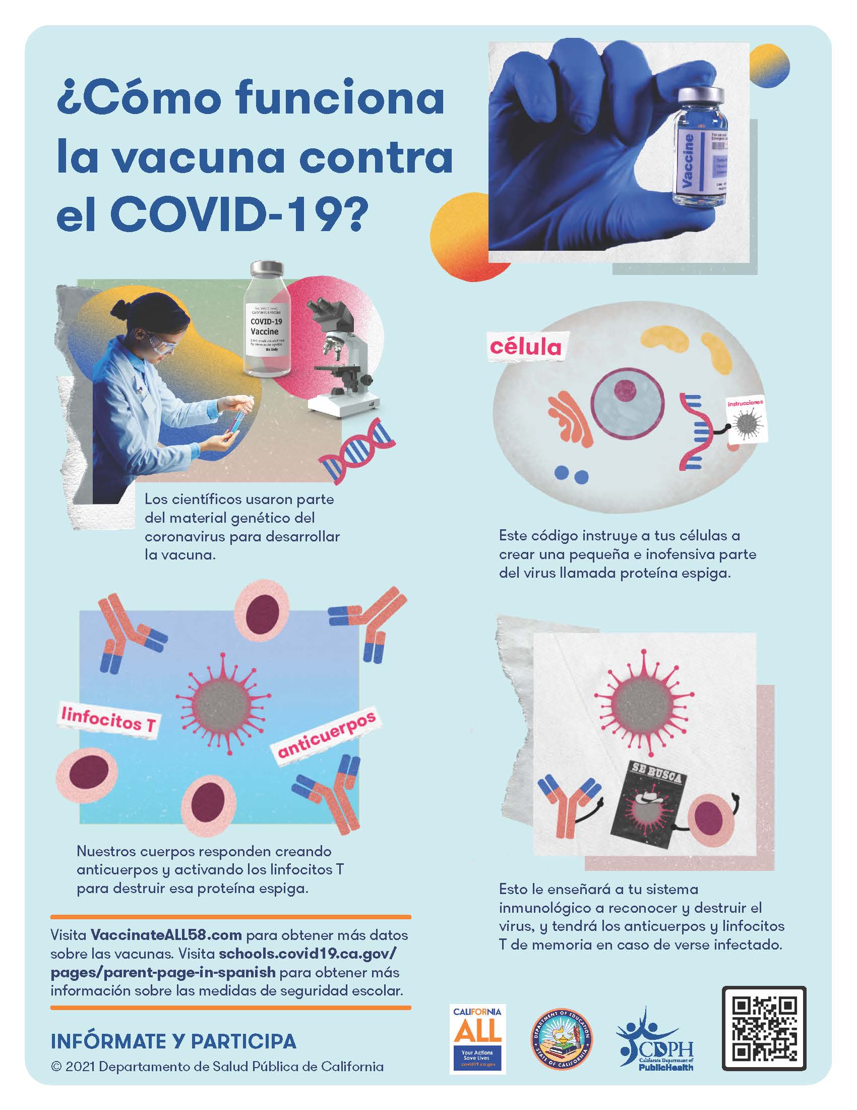 Como funciona la vacuna contra el COVID-19?