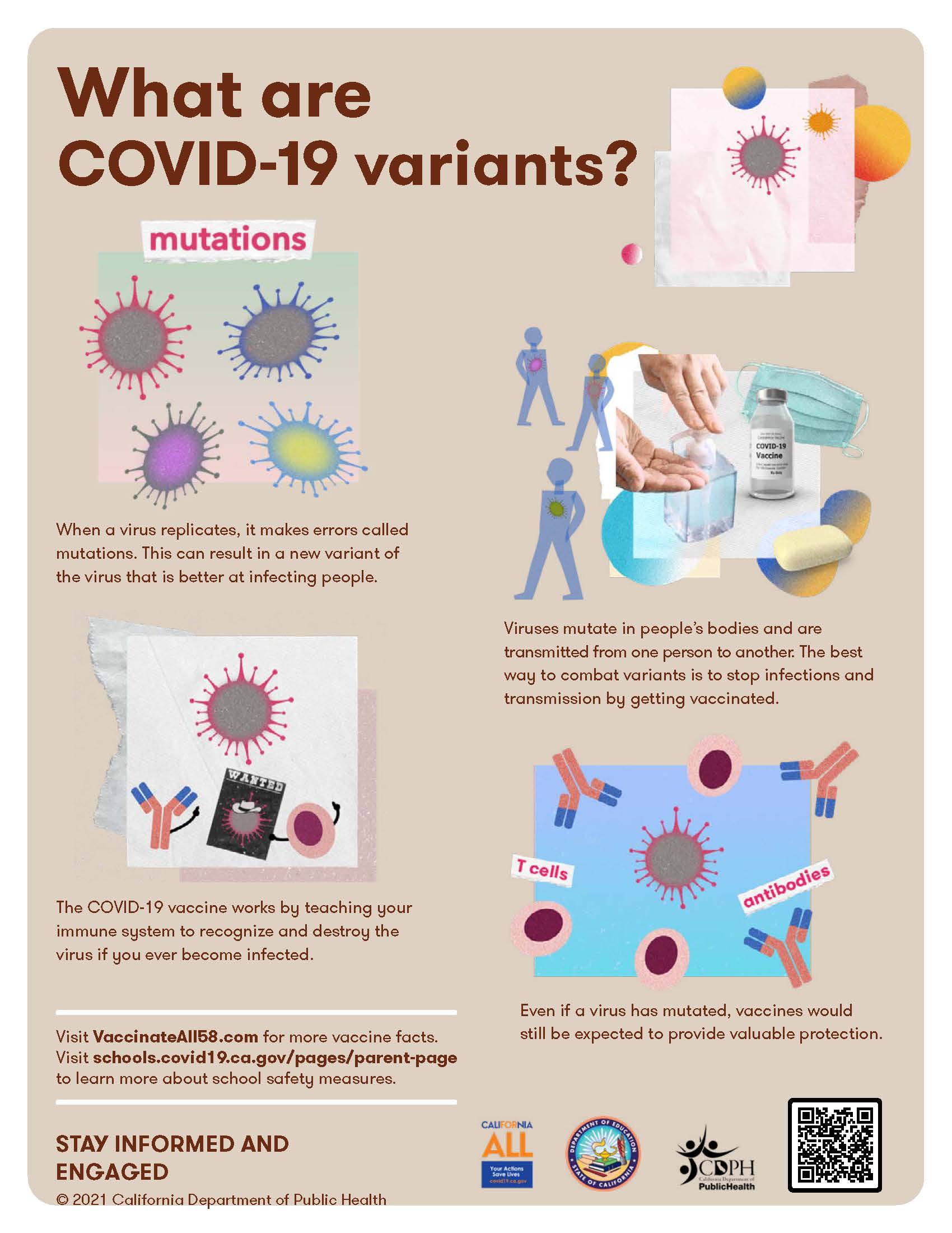What are COVID-19 variants