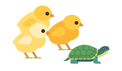 Baby chicks and tiny turtle