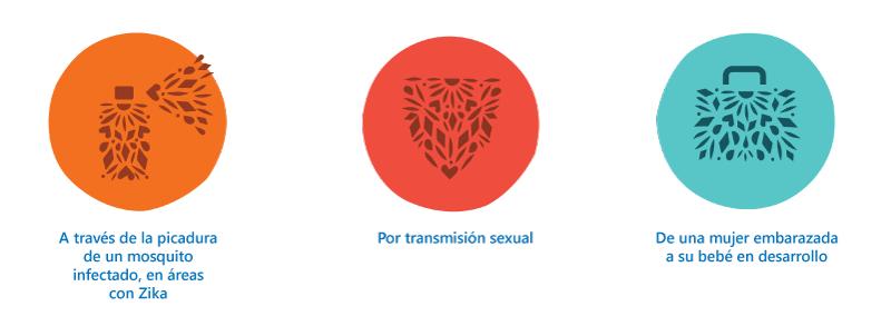 Zika-Transmission-Graphic5